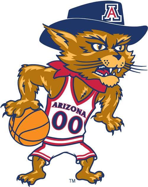 Arizona Wildcats 2003-Pres Mascot Logo v5 diy fabric transfer